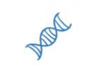 DNA转换为蛋白系列